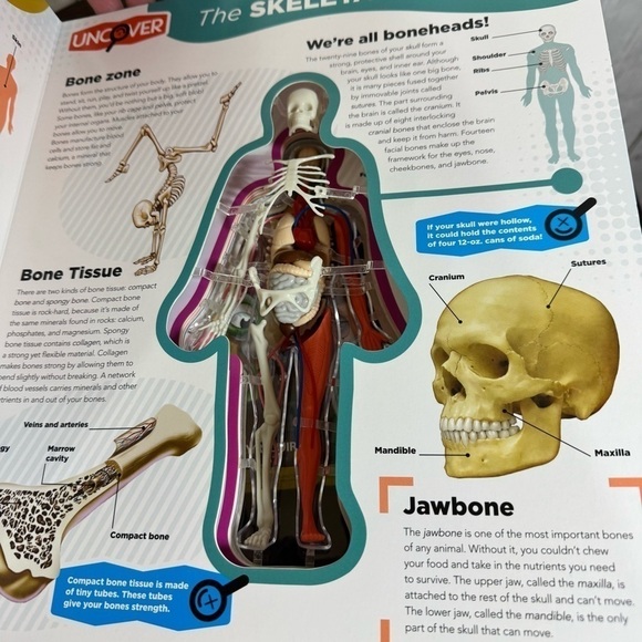 boardgames for kids lot of 3 operation, clue junior, the human body - Picture 7 of 10